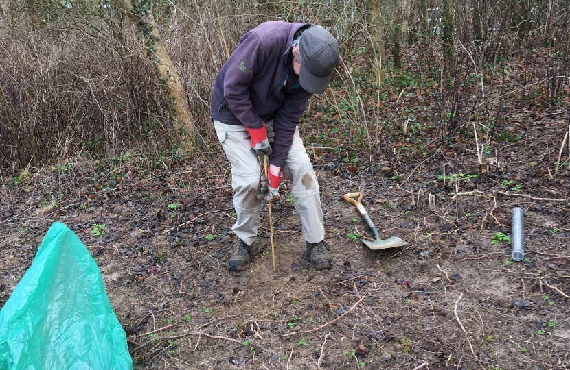 Demonstrations for how to plant the whips