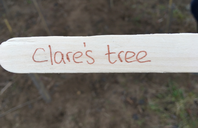 We could label our trees